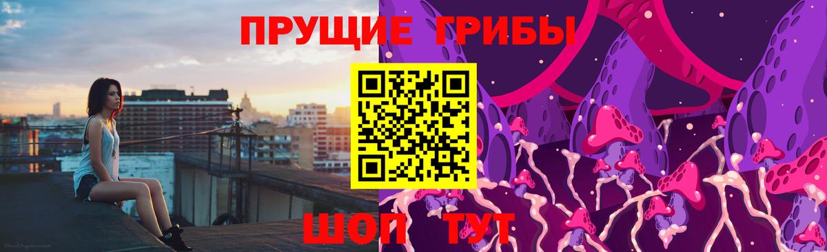 Елец  Галлюциногенные грибы MAGIC MUSHROOMS  Вход с VPN 